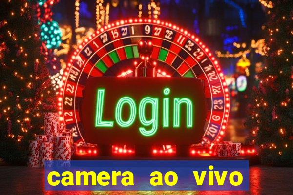 camera ao vivo terminal vila nova cachoeirinha